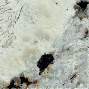 Alaska White