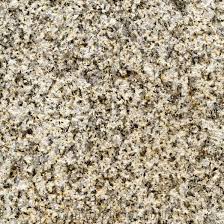 Gris Sylvestre